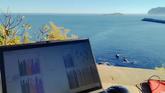 Prezisio handiko portuak